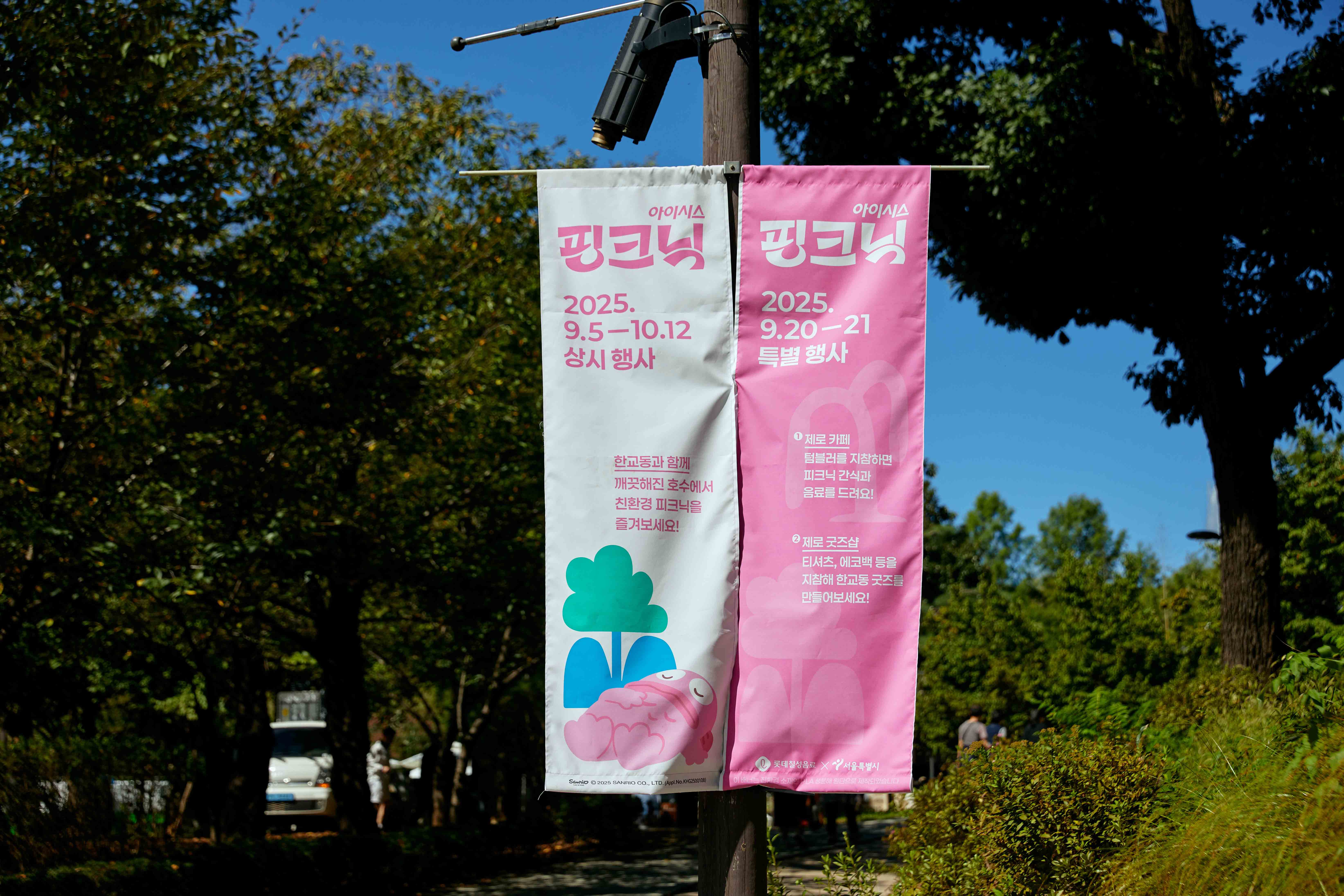 ICIS-PINKNIC-1 image 9