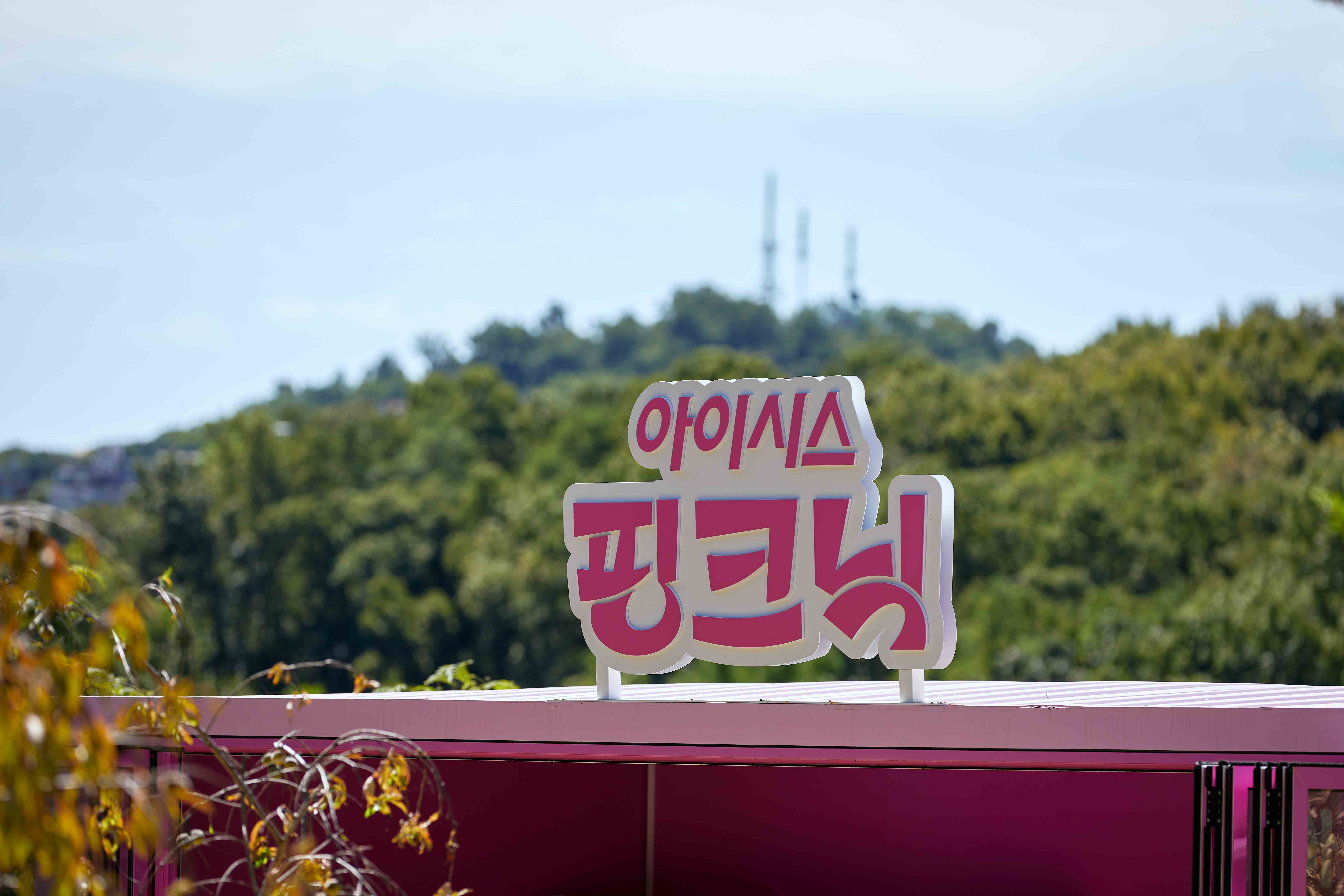 ICIS-PINKNIC-1 image 4