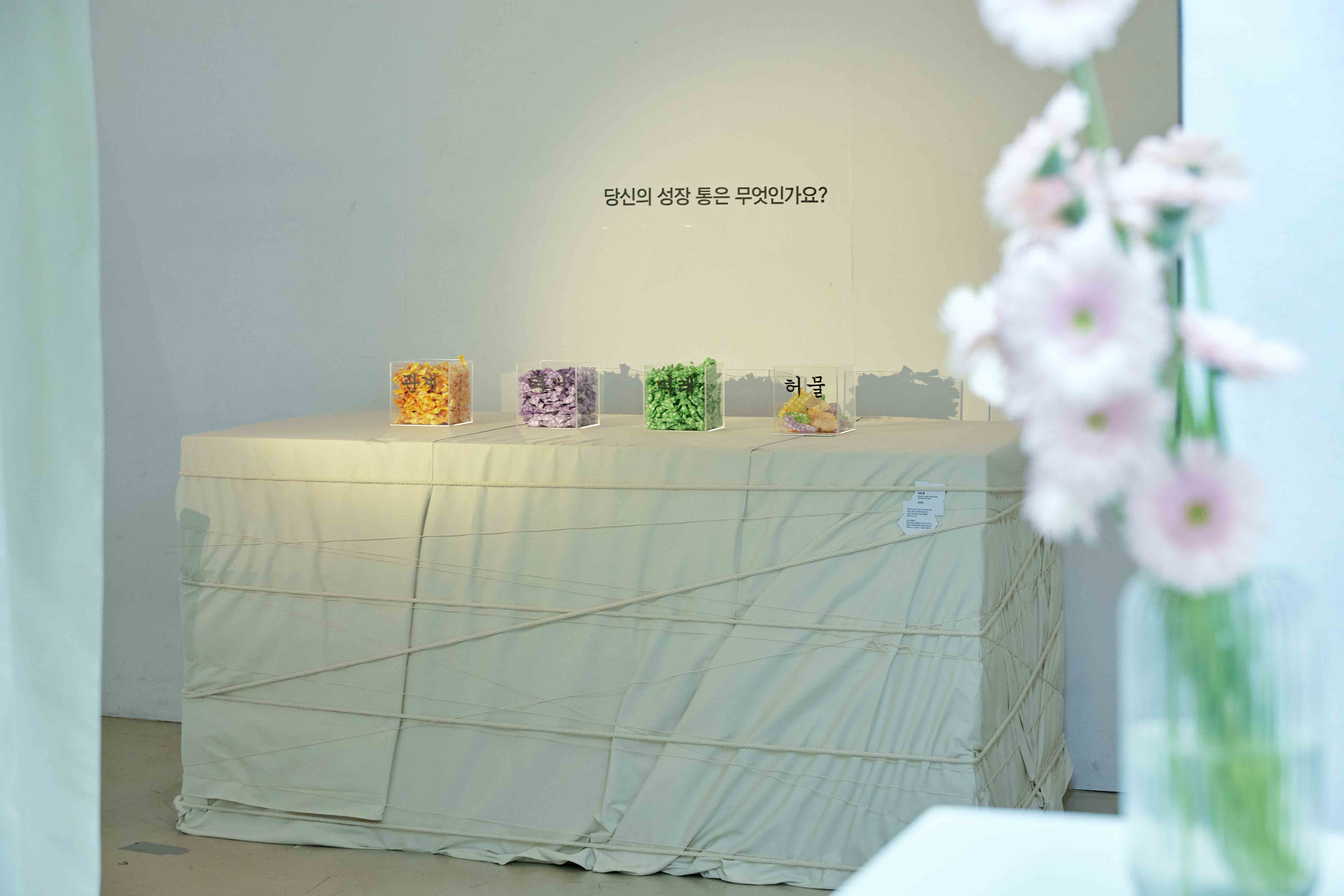 HEO-MUL-HEO-MUL-1 image 4