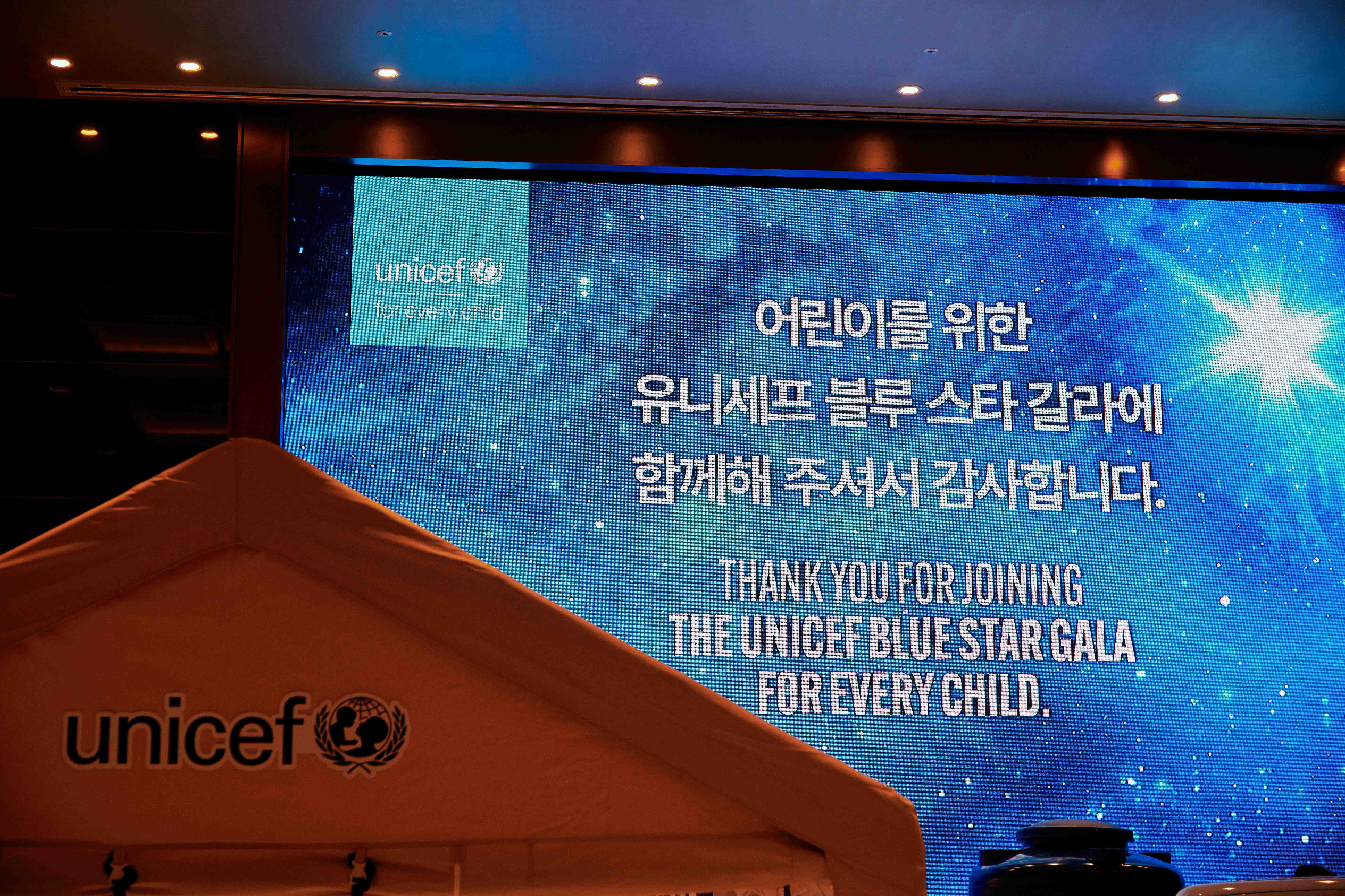 UNICEF-BLUE-STAR-GALA-1 image 3